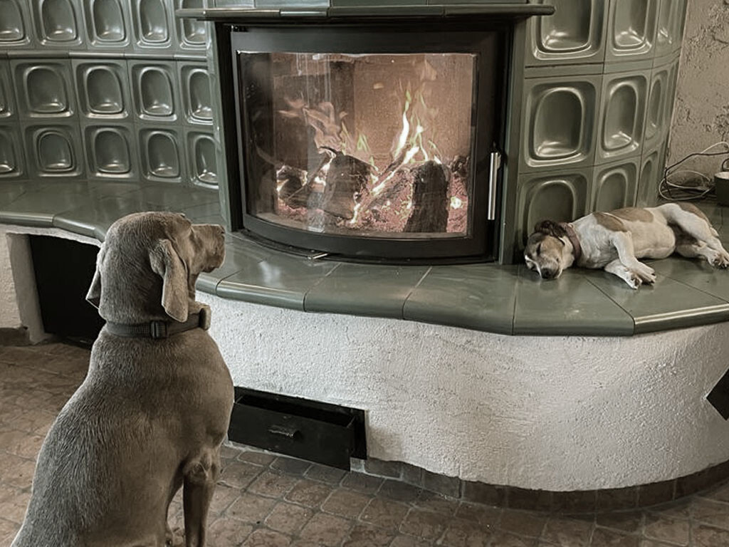 cozy-tasting-room